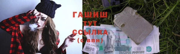 прущий лед Алзамай