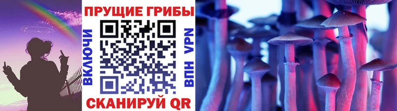 Галлюциногенные грибы Magic Shrooms  darknet наркотические препараты  Агидель  наркотики 
